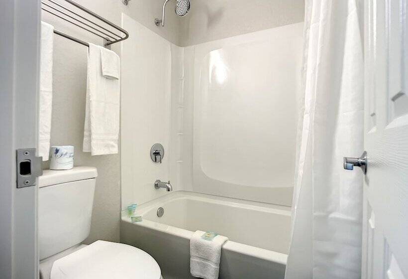 فندق Stayable St Augustine