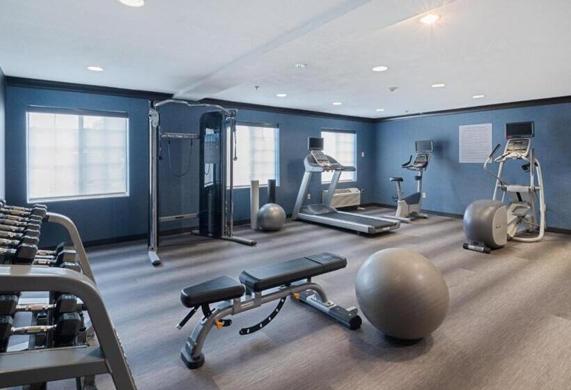 酒店 Staybridge Suites Columbus Dublin, An Ihg