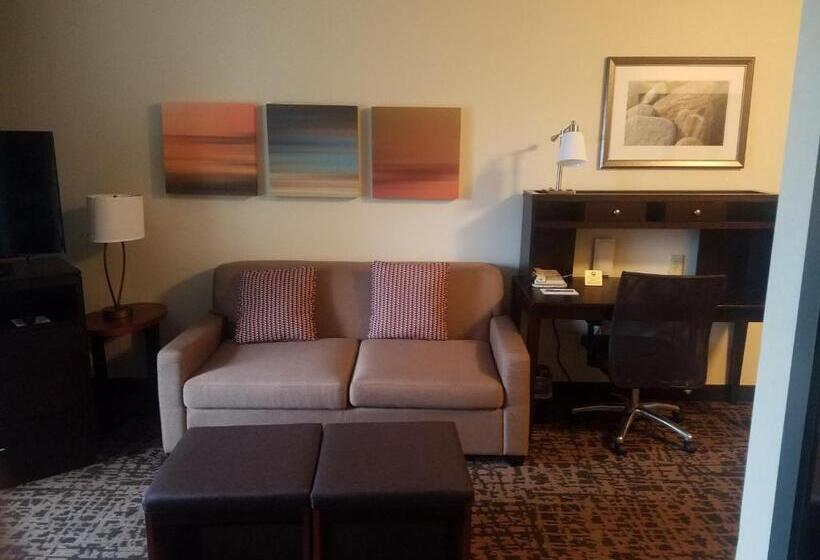 Отель Staybridge Suites Indianapolis Fishers, An Ihg