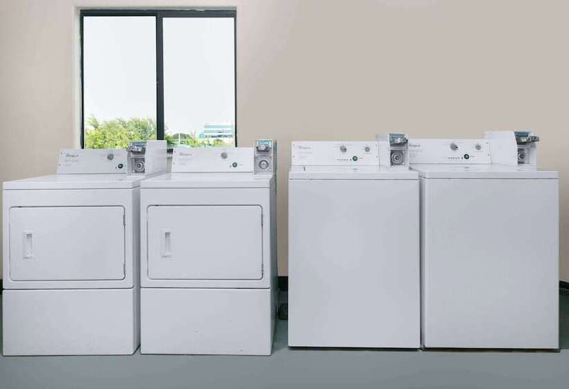 فندق Super 8 By Wyndham New Braunfels I35