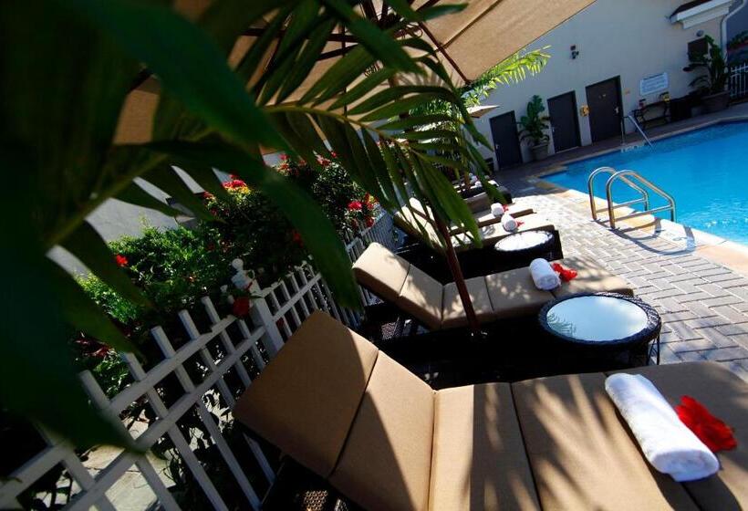 Отель The Inn at Fox Hollow