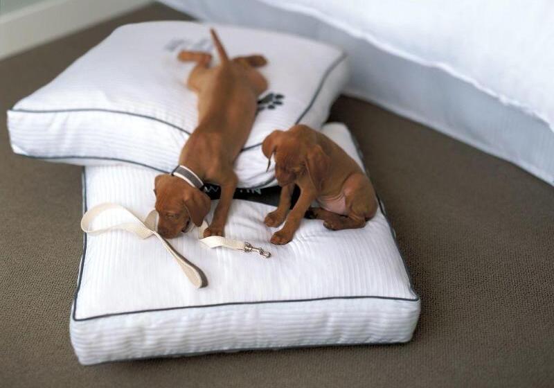 فندق The Westin Mount Laurel