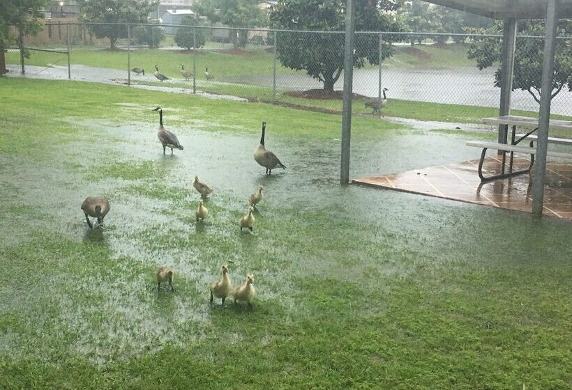 호텔 Trident Inn & Suites, Baton Rouge