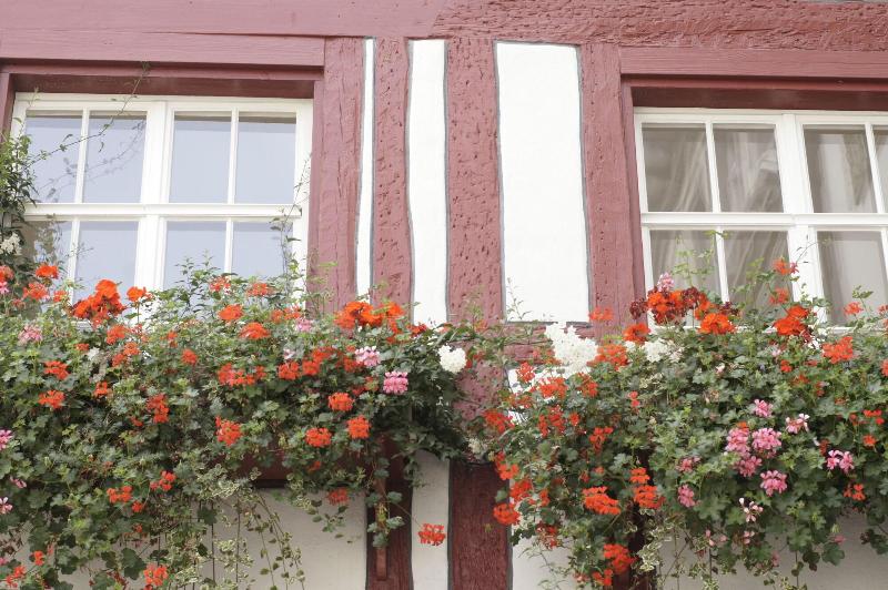 ホテル Vadian Garni