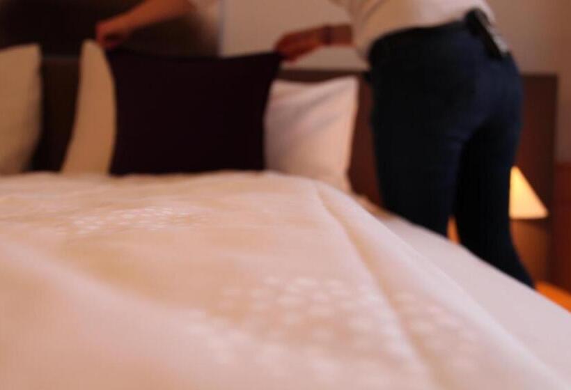 فندق Zum Schwarzen Löwen