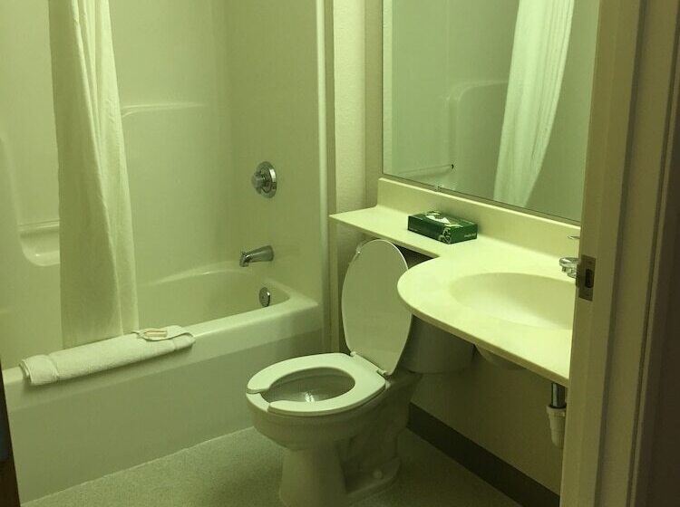 Microtel Inn By Wyndham Champaign