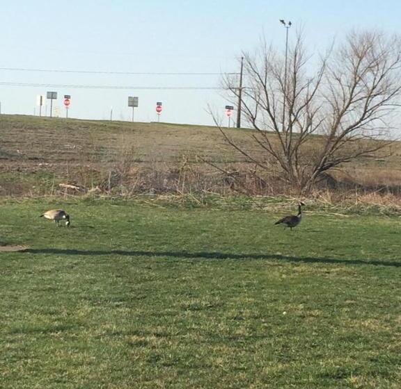 Microtel Inn By Wyndham Champaign