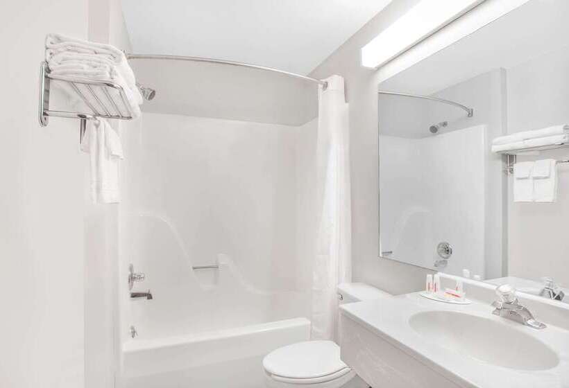 Microtel Inn And Suites By Wyndham Appleton