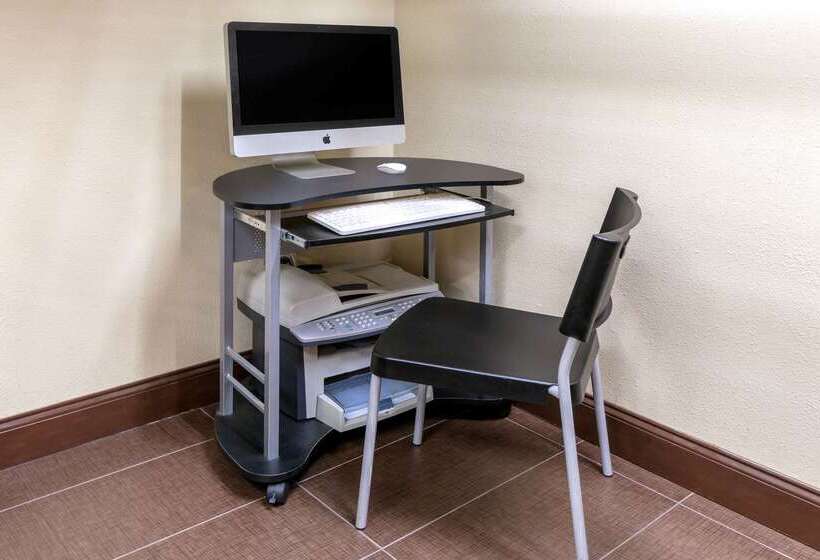 Microtel Inn & Suites By Wyndham Arlington/dallas Area