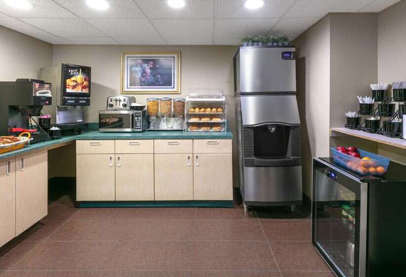 Microtel Inn & Suites By Wyndham Arlington/dallas Area