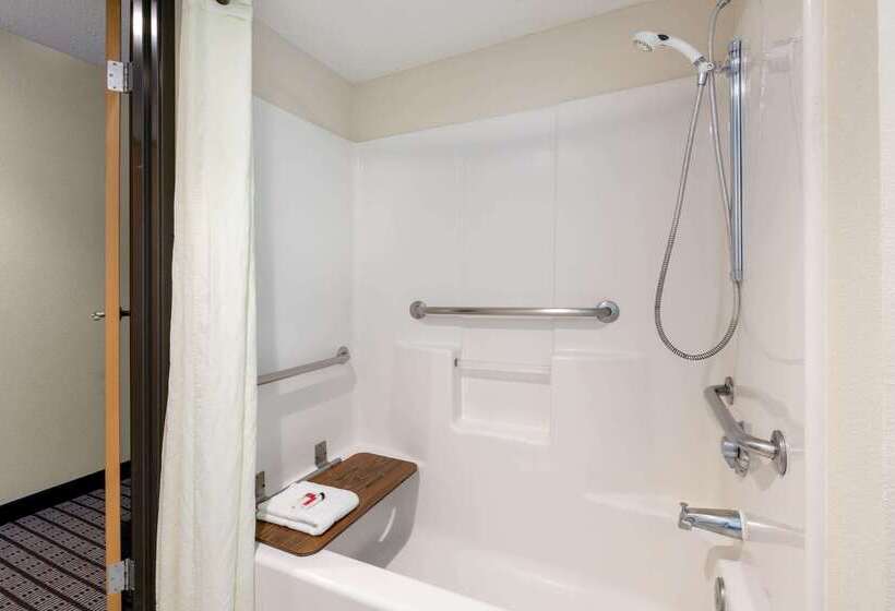 Microtel Inn & Suites By Wyndham Arlington/dallas Area