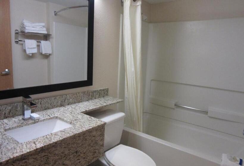 Microtel Inn & Suites By Wyndham Arlington/dallas Area