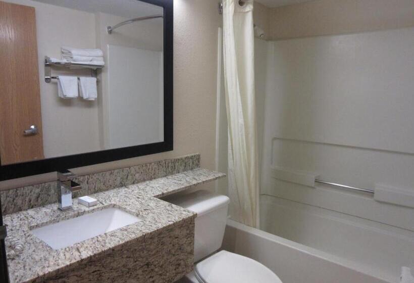 Microtel Inn & Suites By Wyndham Arlington/dallas Area