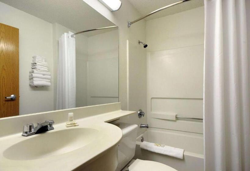 Microtel Inn & Suites By Wyndham Arlington/dallas Area