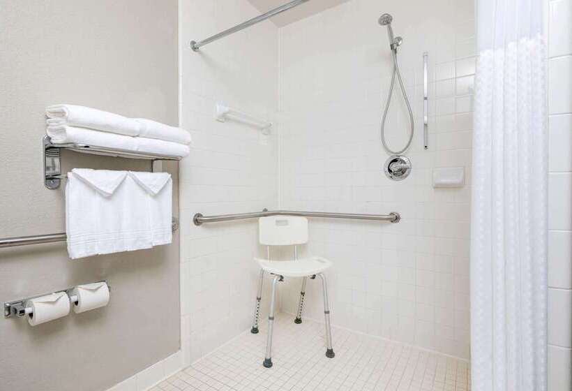 Microtel Inn & Suites By Wyndham Atlanta Buckhead Area