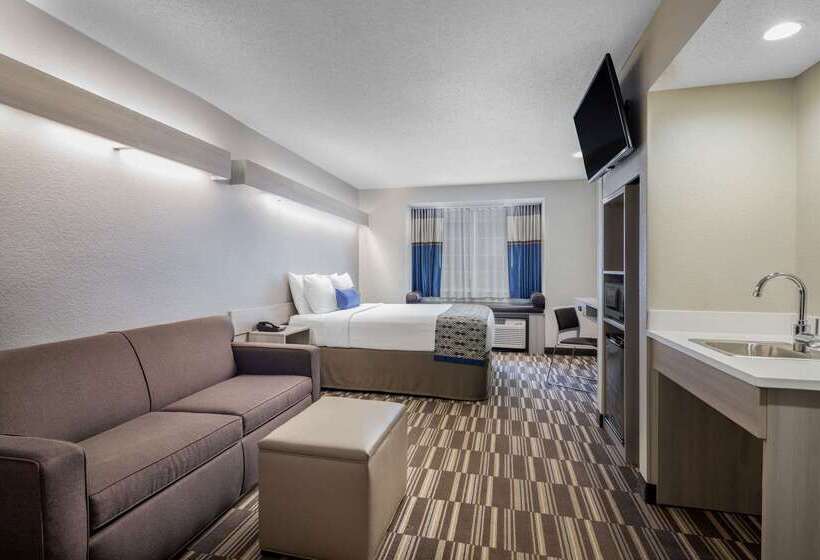 Microtel Inn & Suites By Wyndham Atlanta Buckhead Area