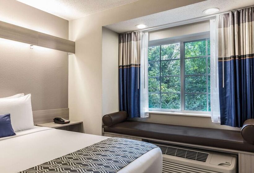 Microtel Inn & Suites By Wyndham Atlanta Buckhead Area