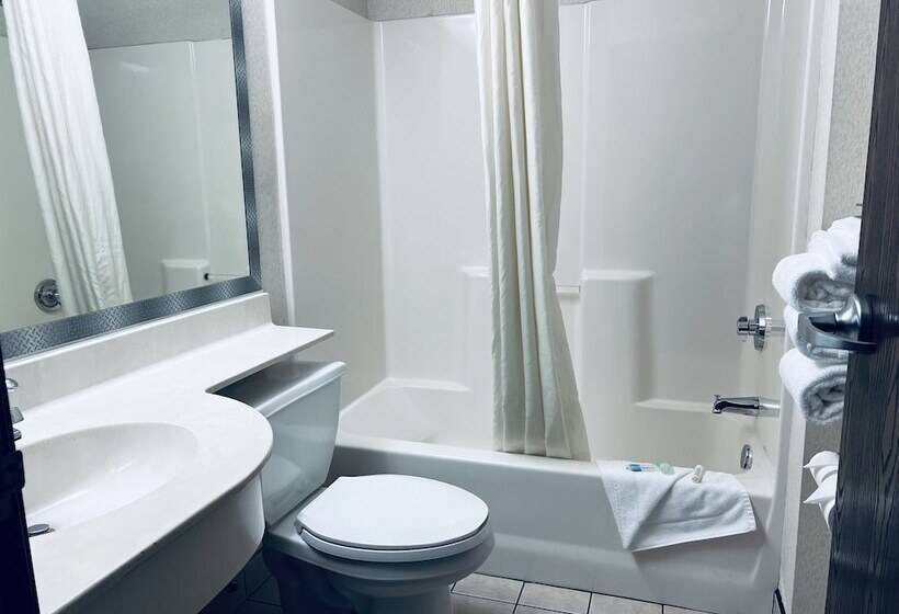 Microtel Inn & Suites By Wyndham Bloomington Msp Airport