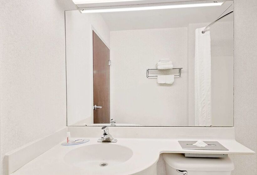 Microtel Inn & Suites By Wyndham Hagerstown By I 81