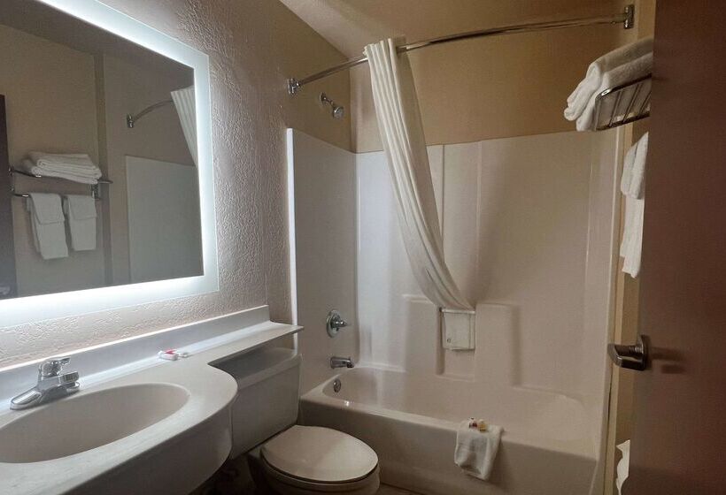 Microtel Inn & Suites By Wyndham Houston/webster/nasa/clearlake