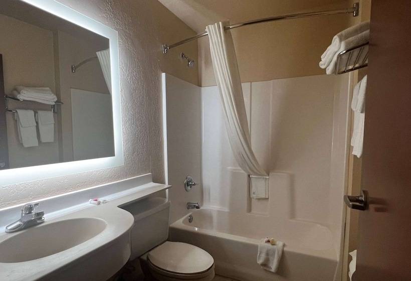 Microtel Inn & Suites By Wyndham Houston/webster/nasa/clearlake