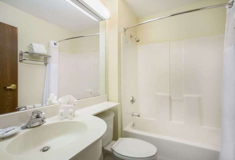 Microtel Inn & Suites By Wyndham Leesburg/mt Dora