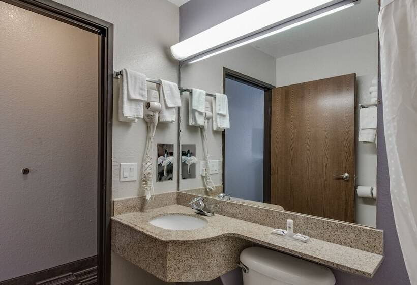 Microtel Inn & Suites By Wyndham Oklahoma City Airport