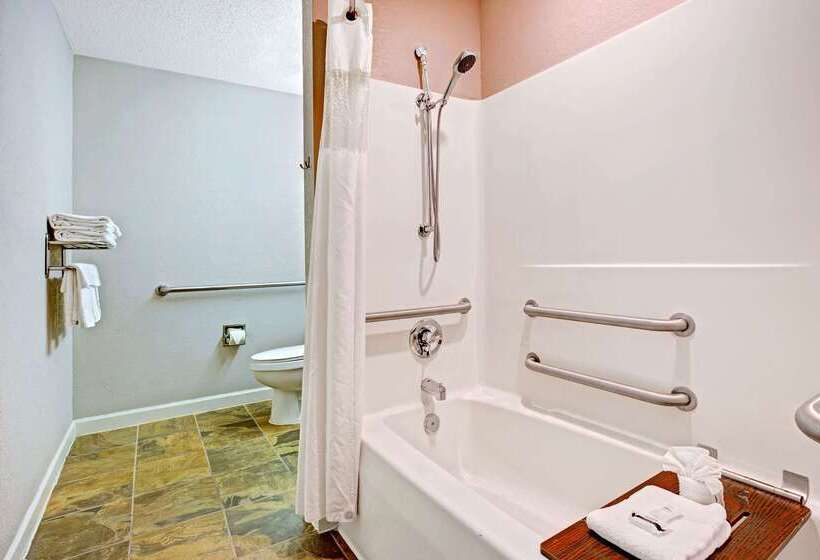 Microtel Inn & Suites By Wyndham Statesville