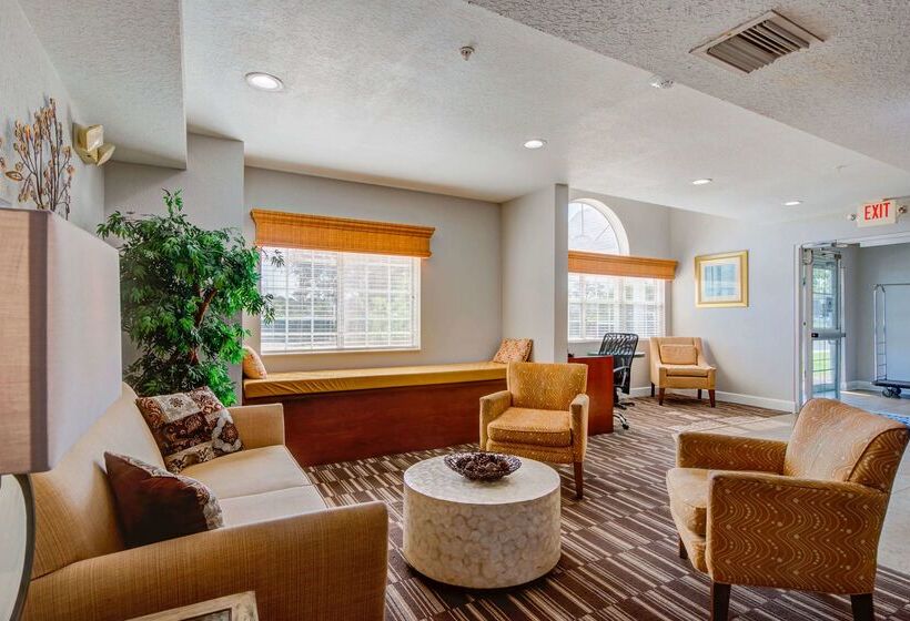 Microtel Inn And Suites   Zephyrhills