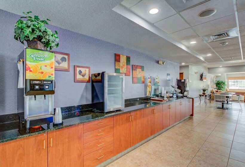 Microtel Inn And Suites   Zephyrhills
