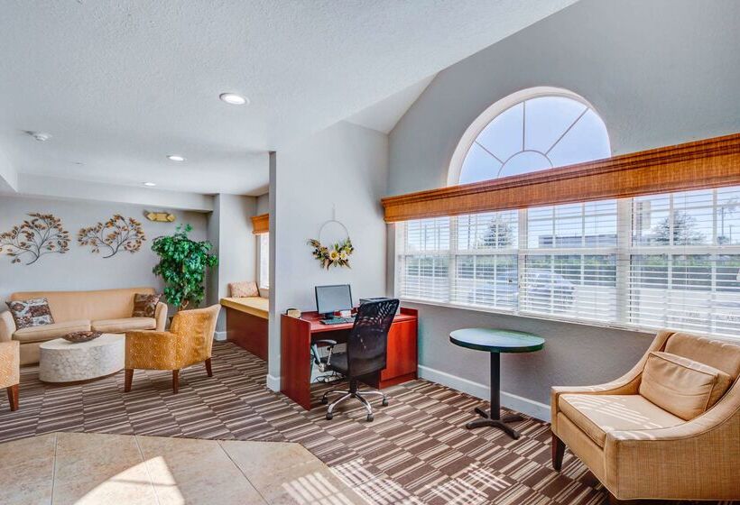 Microtel Inn And Suites   Zephyrhills