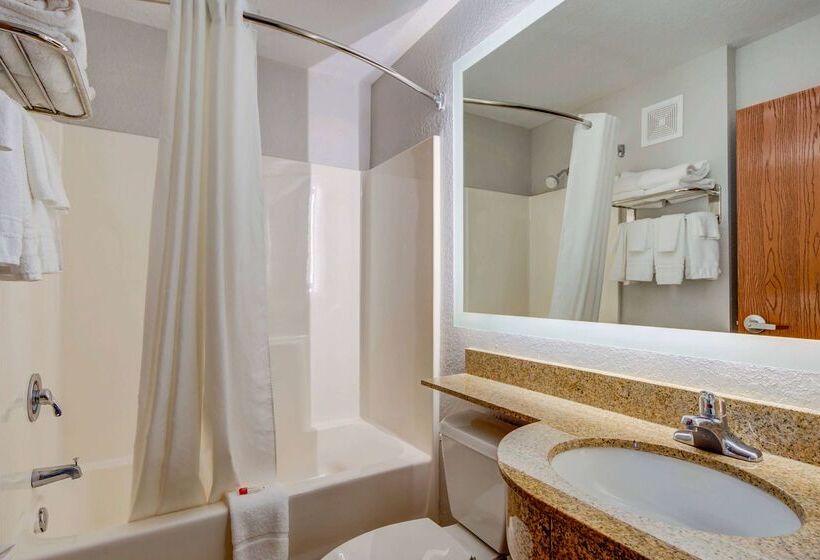 Microtel Inn And Suites   Zephyrhills