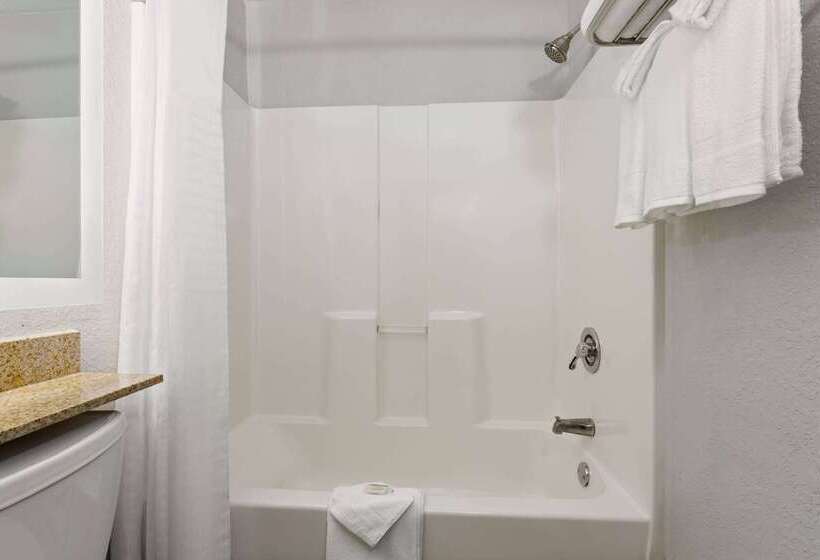 Microtel Inn And Suites   Zephyrhills