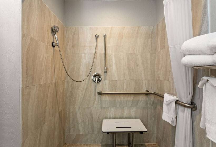 Microtel Inn And Suites   Zephyrhills