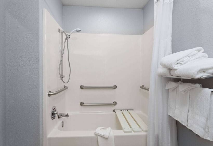 Microtel Inn And Suites   Zephyrhills