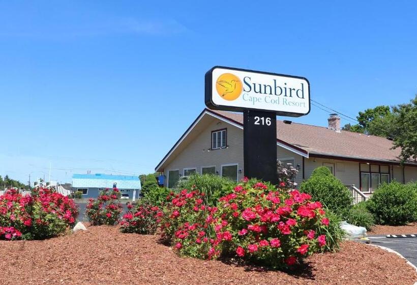 מוטל Sunbird Cape Cod Resort