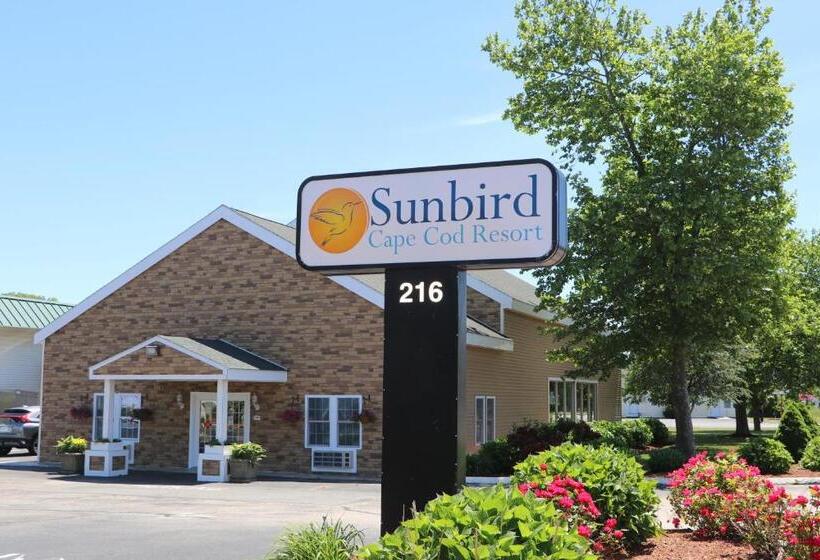 מוטל Sunbird Cape Cod Resort