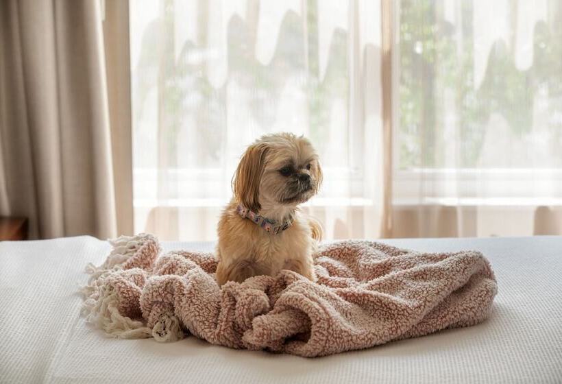 Residence Inn Long Island Holtsville