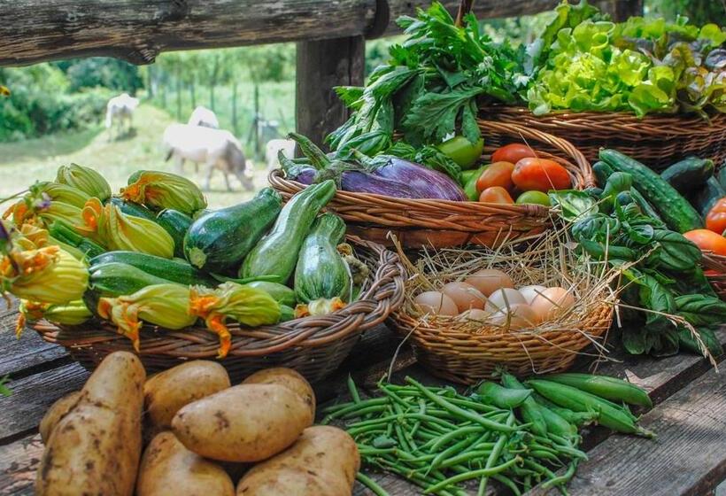 Agriturismo La Ferrera