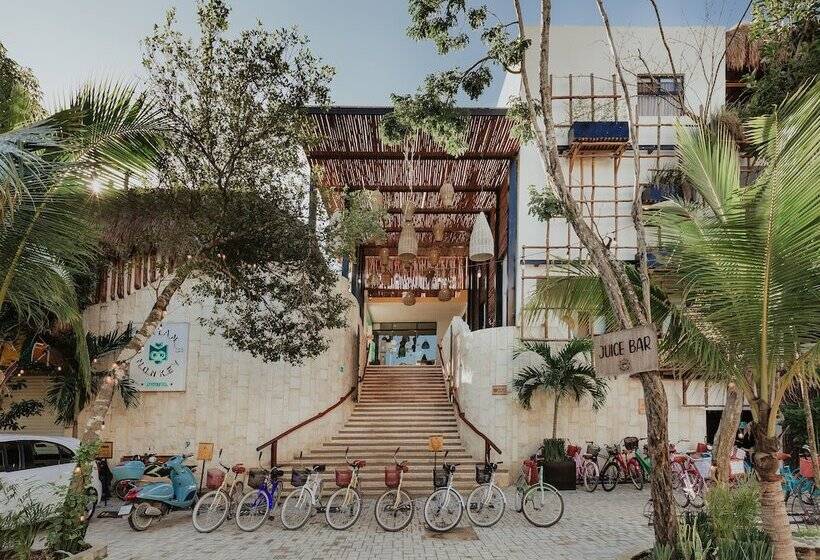 호스텔 Mayan Monkey Tulum | Social