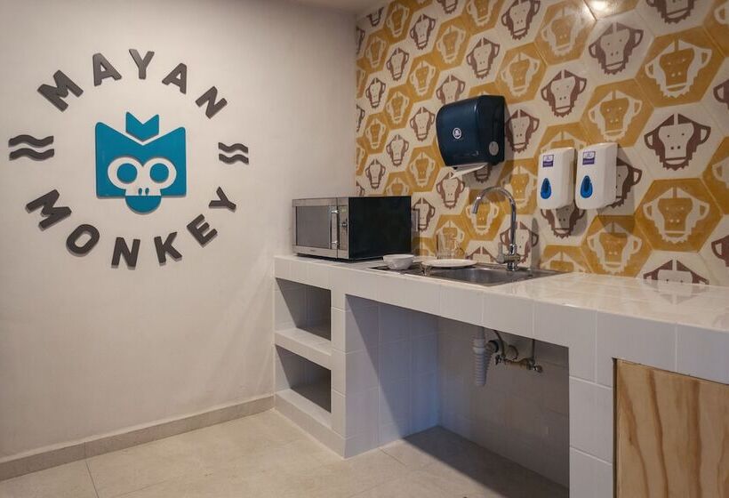 호스텔 Mayan Monkey Tulum | Social