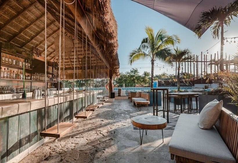 호스텔 Mayan Monkey Tulum | Social