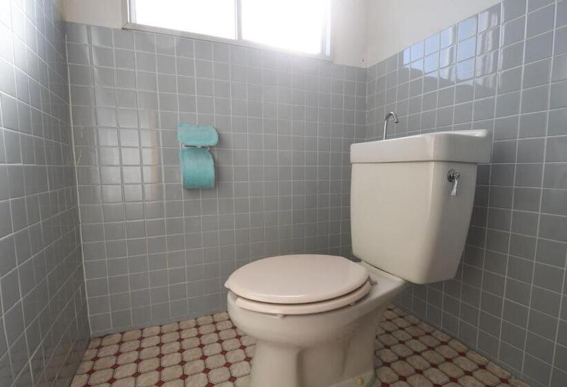 ユースホステル Onsen Yado Hamayu Nagi