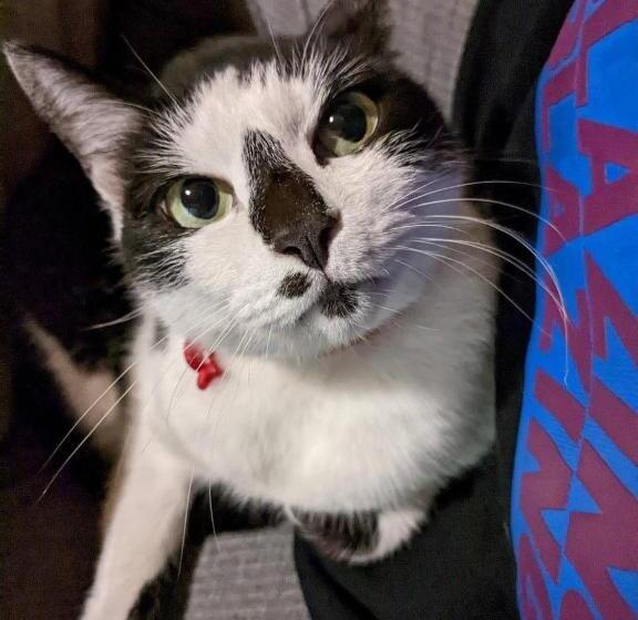 Общежитие Satoyama Guest House Couture