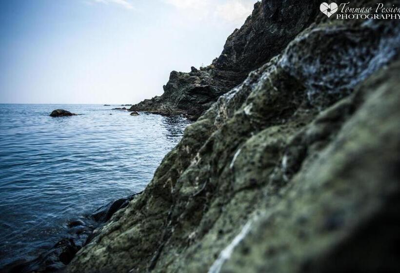 تختخواب و صبحانه Affittacamere Mariella