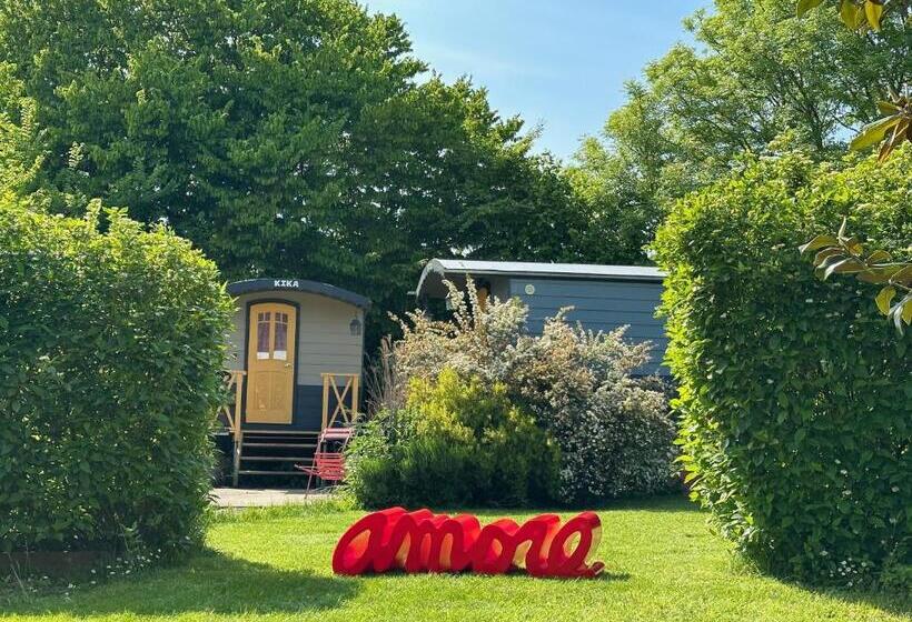 مبيت وإفطار Au Presbytère De Saigneville