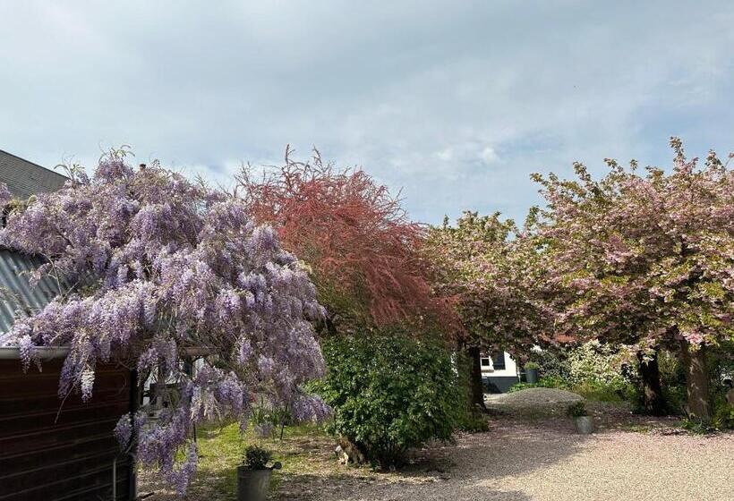 مبيت وإفطار Au Presbytère De Saigneville