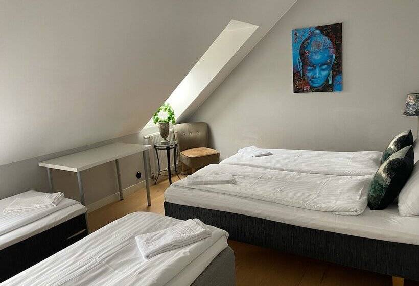 مبيت وإفطار Brohuspark