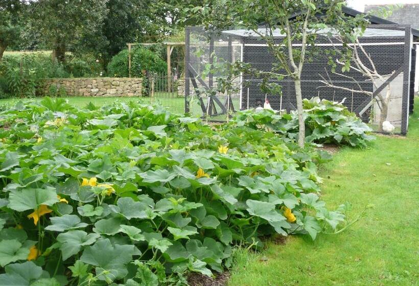 住宿加早餐  Chambres D Hotes Ti Ar Yer