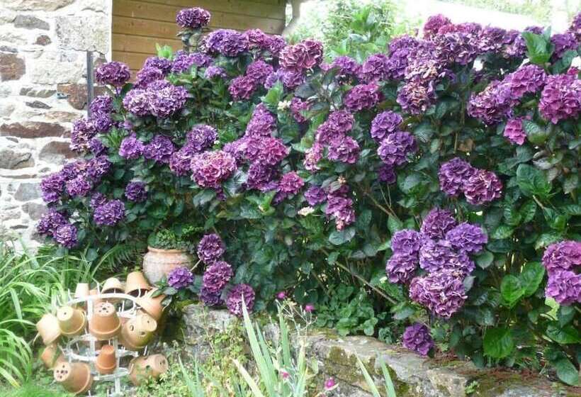 住宿加早餐  Chambres D Hotes Ti Ar Yer